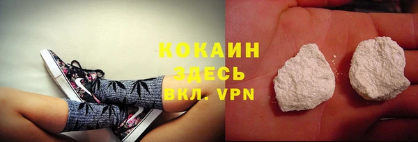 шишки Березники
