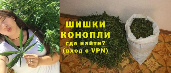 гашик Майский