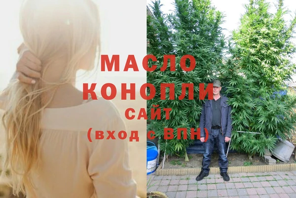 гашик Майский