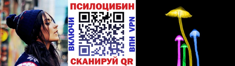 где продают   Вичуга  Галлюциногенные грибы Psilocybine cubensis 
