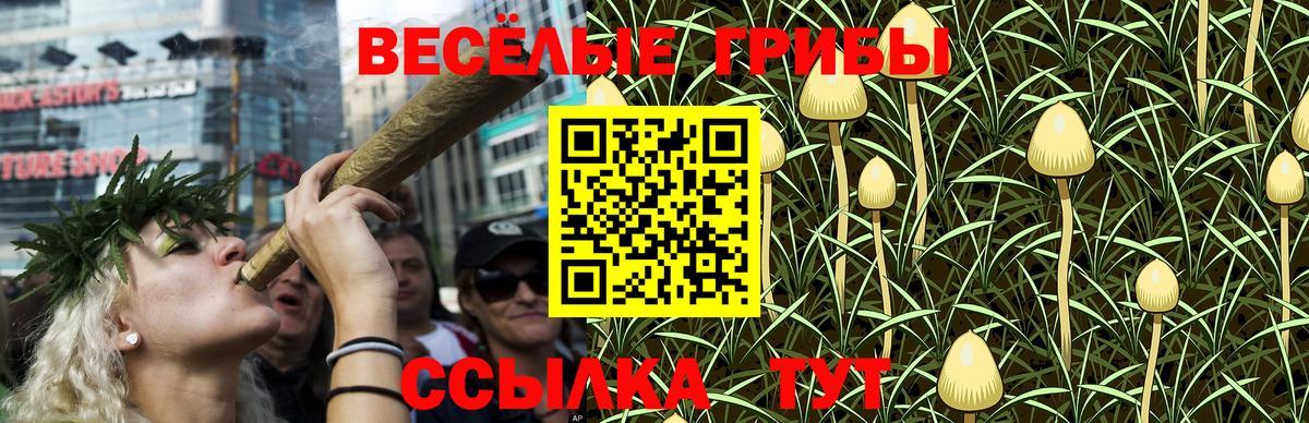 АМФЕТАМИН кристаллы  Мефедрон кристаллы  Купить закладку  Меф МЯУ МЯУ кристаллы  Вичуга  ГАШИШ  COCAIN  Alpha-PVP СК кристаллы 