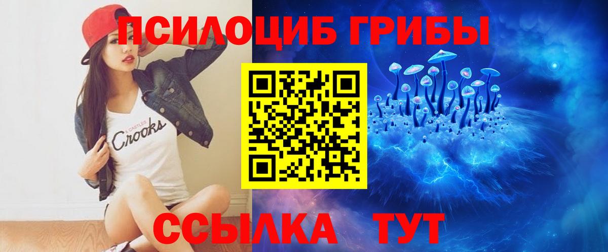 купить наркотик  Вичуга  Галлюциногенные грибы Magic Shrooms 