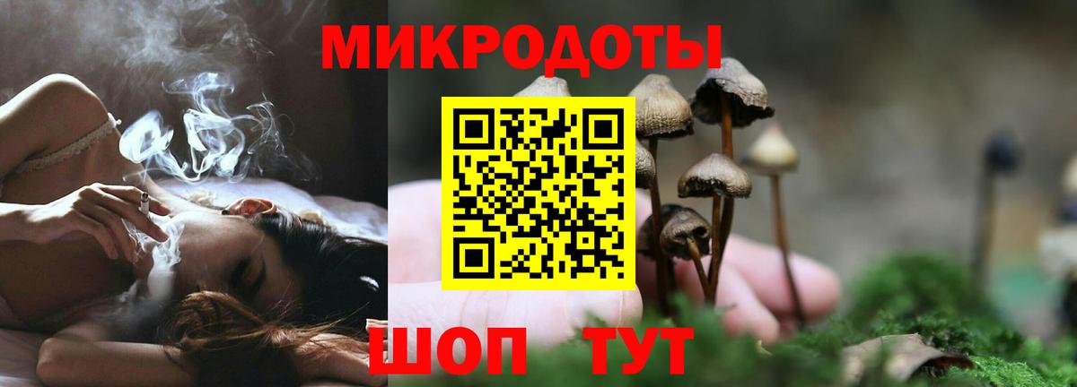 Галлюциногенные грибы MAGIC MUSHROOMS Вичуга